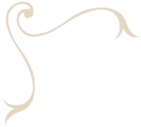 ornament 1