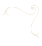ornament 2 5